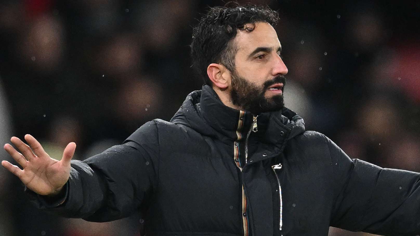 的前景展望 的前景展望