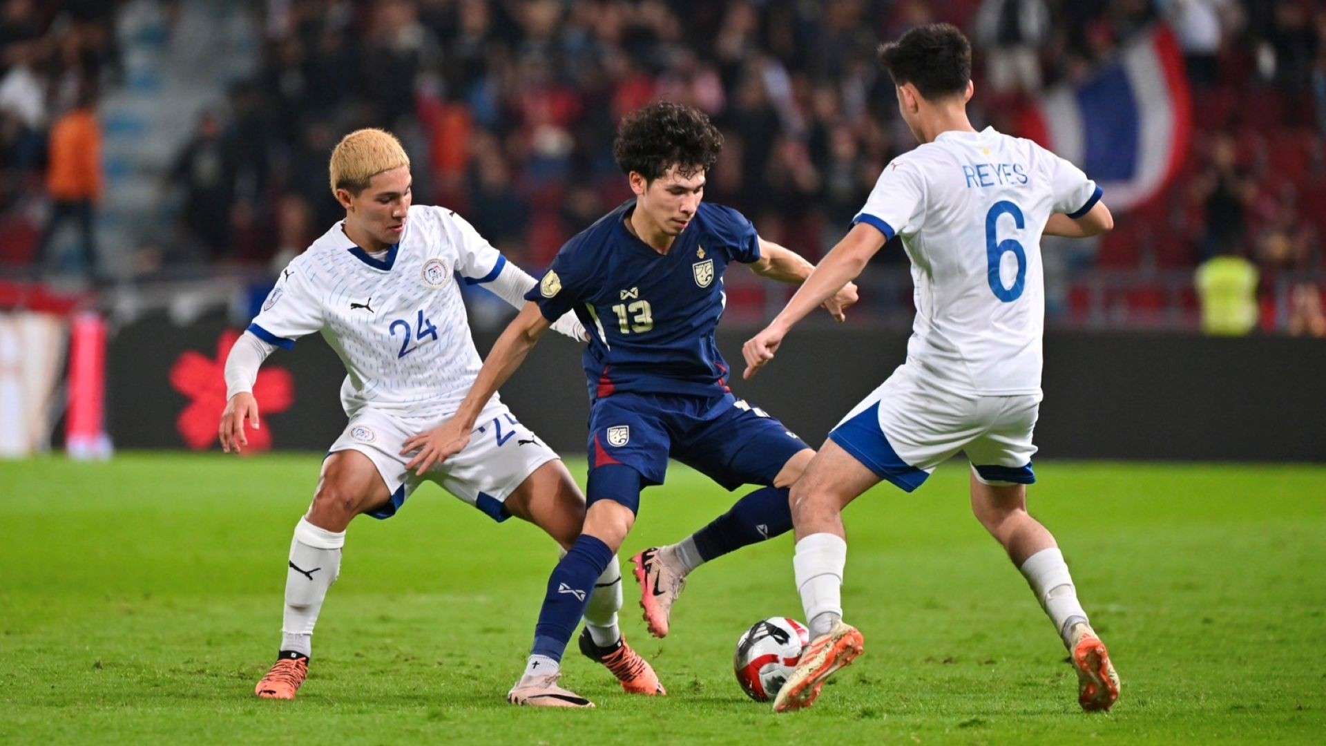 的发展不仅 的发展不仅